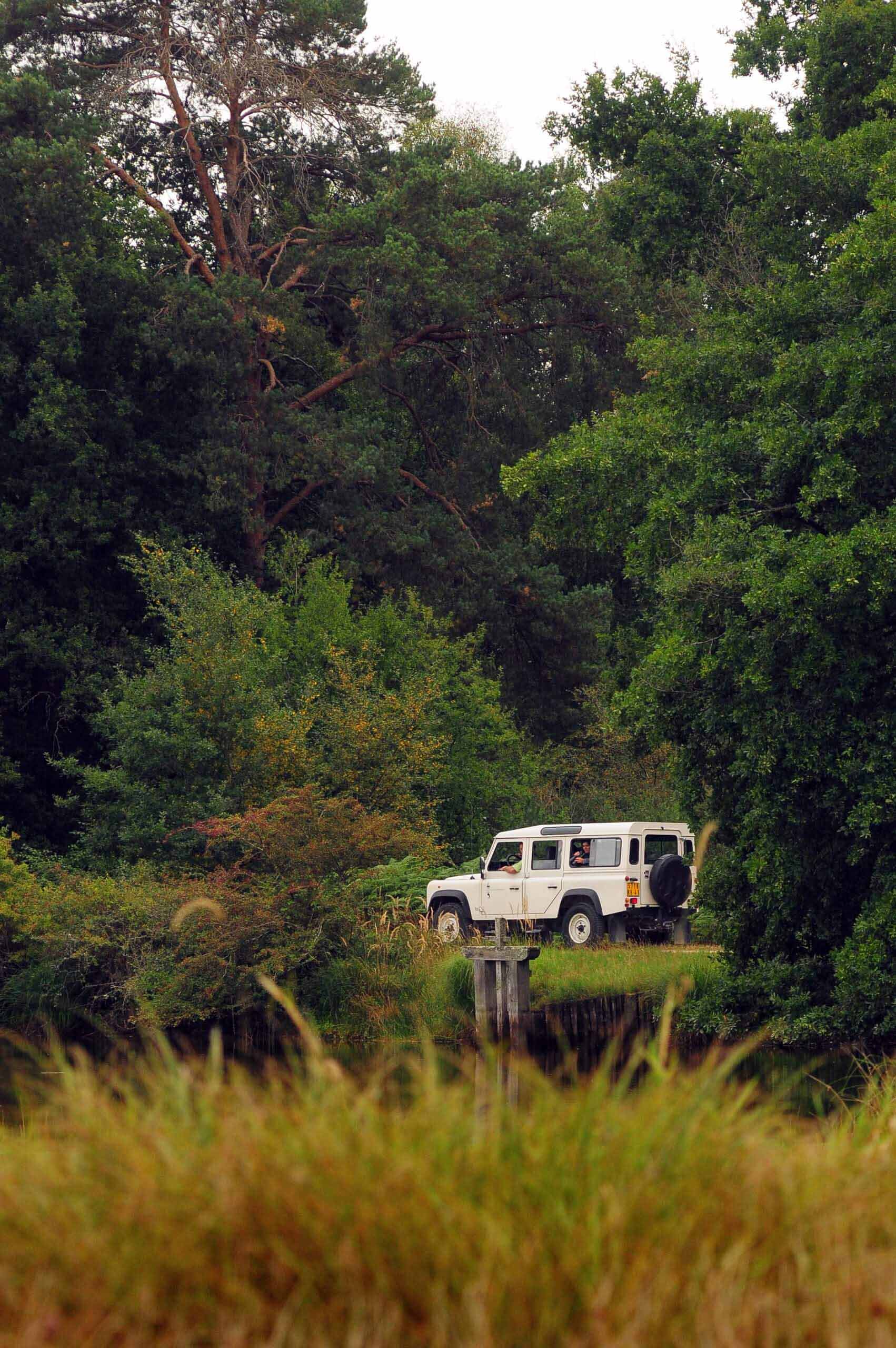 4x4 safari at Chambord's nature reserve.