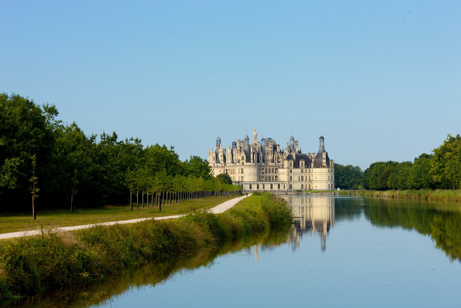 Boat rides in the Cosson River, right infront of the château de Chambord.