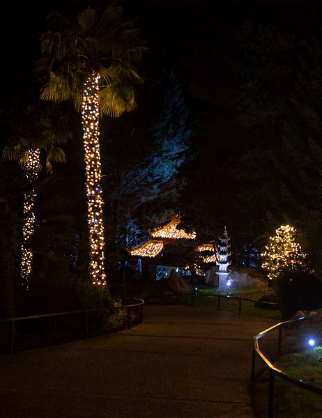 Christmas illuminations at the ZooParc of Beauval.